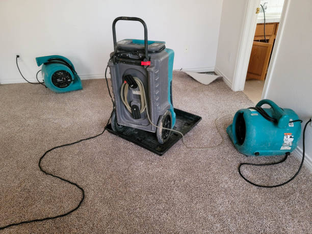 Best Emergency water damage restoration  in Highpoint, OH