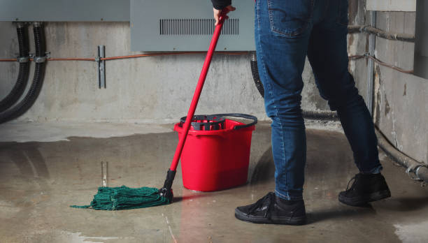 Best Local water damage restoration  in Highpoint, OH