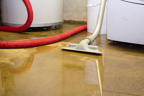 Best Flood damage cleanup  in Highpoint, OH